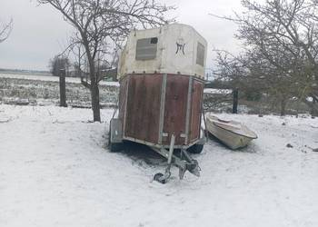 Przyczepa do przewozu koni koniowuz