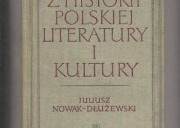 Z historii polskiej literatury i kultury