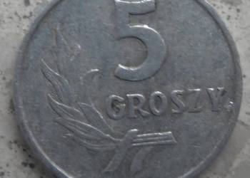 POLSKA-5 GROSZY-1962 r (b.z.)-AL-