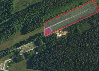 Działka budowlana 977 m², las i cisza – Zakrzów