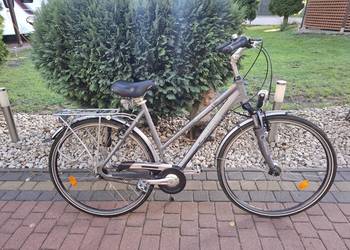 Rower damski Pegasus