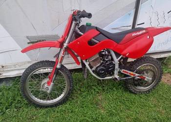Malaguti grizzly 10 motorek motor 50