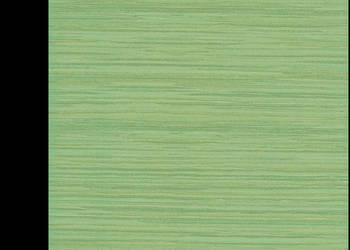 Płytka Alan verde 33,3 x 33,3; seria Carioca, Paradyż, płytki, kafel, flizy