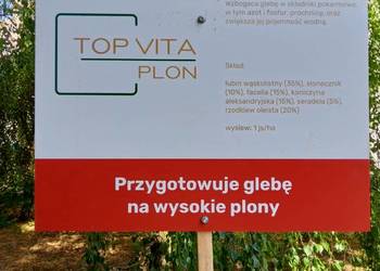 Mieszanka międzyplonowa - Top Vita Plon