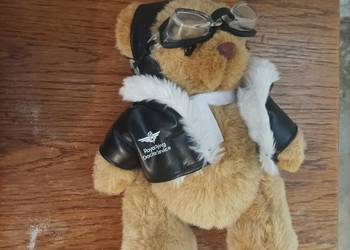 Pluszak Miś Teddy pilot