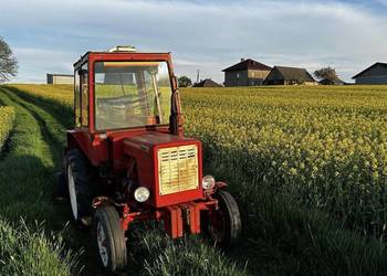 Władymirec T-25 Rusek Ruski zarejestrowany oryginalny rewers 1988r