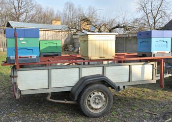 Zabudowa przyczepki platformą do przewozu uli