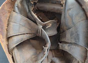 Sprzedam stare BYCZE JAJO (orzeszek)