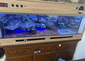 Terrarium robione na zamówienie