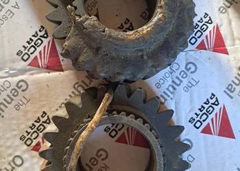 Koło zębate 3 biegu Massey Ferguson Z24 3583519M1
