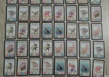 karty kolekcjonerskie 52 sztuki