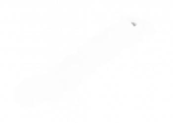 TOYOTA Verso Chromowany emblemat logo tyl TOYOTA 75441-0F020 OE