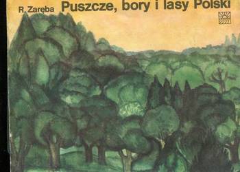Puszcze bory i lasy Polski - Zaręba