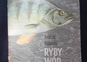 Andrzej Rudnicki. Atlas - Ryby wód polskich. WSiP, 1989 r. Wydanie V.