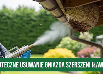Zwalczanie Szerszeni Iława - Usuwanie Gniazd Szerszeni