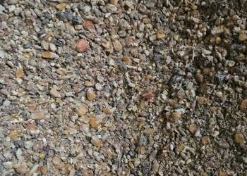 Pasza dla kur niosek