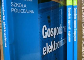 Gospodarka elektroniczna difin najtaniej podręczniki Praga Gospodarka elektroniczna difin najtaniej podręczniki Praga