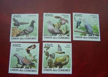 Komory 2009 MNH Fauna Ptaki Gołębie
