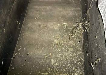 Przyczepka do transportu zwierząt dwukółka