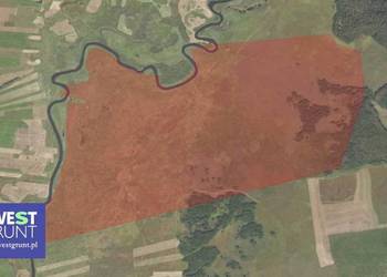 [90,04 ha] przetarg na dzierżawę gruntów rolnych