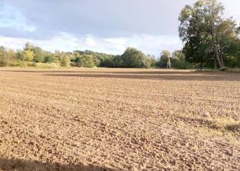 Grunty rolne pod uprawę Wrocław/Widawa. Przepiękny teren.