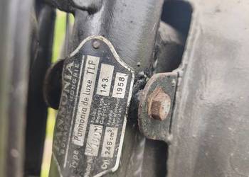 Pannonia TLF 250