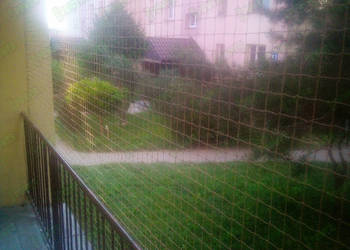 Siatka balkonowa dla kota Warszawa Montaż Siatki Na Okno Dla Kota Na Balkon