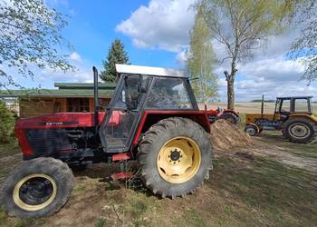 Zetor 81 11 Turbo , Zarejestrowany