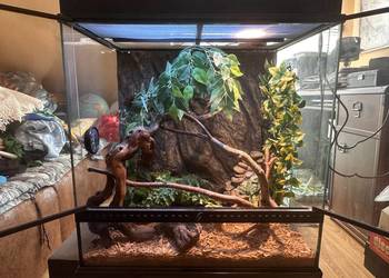 Terrarium Exo Terra 60x45x60 z wyposażeniem.