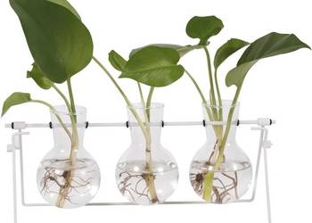 Stacja do rozmnażania roślin, wazon, stojak, dekoracja