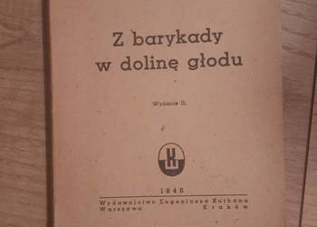 Michał Rusinek - Z barykady w dolinę głodu