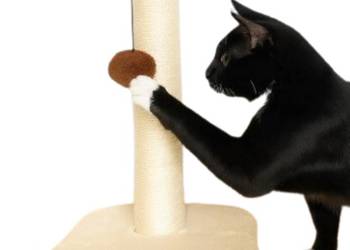 Drapak dla kota słupek w kształcie łapy beżowa