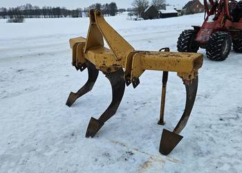 Głębosz zachodni 3 łapy MASYW !!!