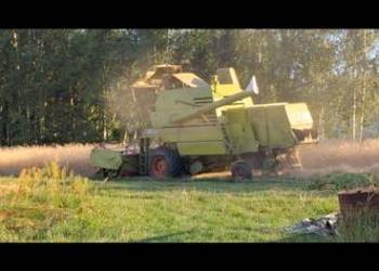 Claas Mercator, Mercedes