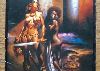 Boris Vallejo Fantastic World pocztówki w obwolucie 10 szt.