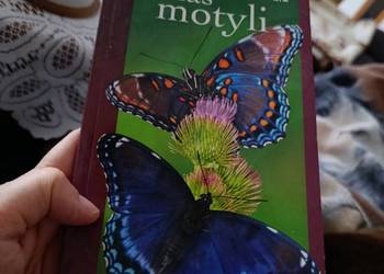 książka z serii "Atlas motyli" wydawnictwa RM część 2