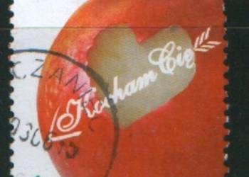 Zn. Fi 4078, 85, 6, 144 kas 2006