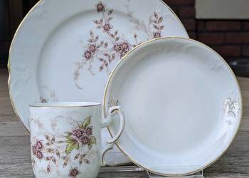 ## Wiekowa Śląska Porcelana – z XIX wieku - Charlottenbrunn ##