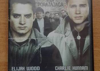 Płyta VCD Hooligans polecam