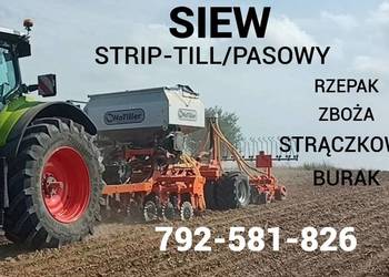 Siew STRIP-TILL/PASOWY Rzepak, pszenica, jęczmień. Bezorkowy. Siew STRIP-TILL/PASOWY Rzepak, pszenica, jęczmień. Bezorkowy.