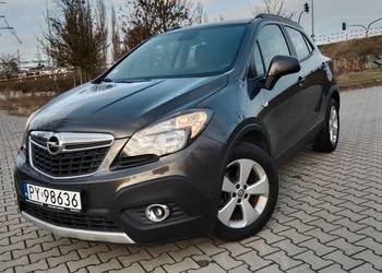 Pełen Carpass* Zarejestrowany