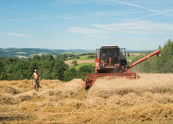 Kombajn Bizon Rekord 4 sztuki.