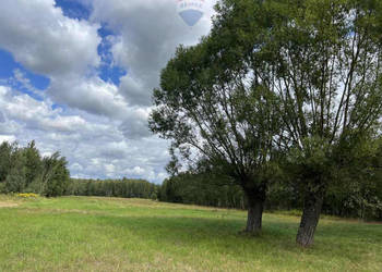 Działka siedliskowa