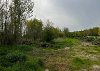 Działka przy drodze asfaltowej