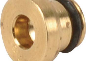 Dysza główna 591936