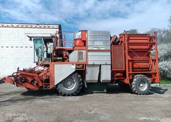 Kombajn do fasoli szparagowej FMC BH 6100 MATHER + PLATT