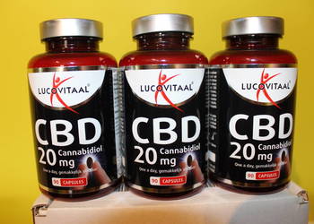 Olej konopny w kapsułkach CBD 20mg Lucovitaal