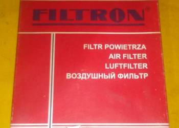 wkład Filtron AP 067 filtr powietrza Ford