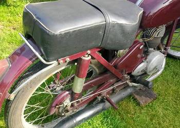 Wfm 1962r