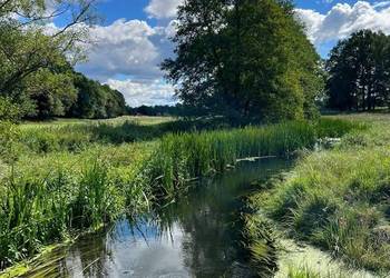 Działka z linią brzegową